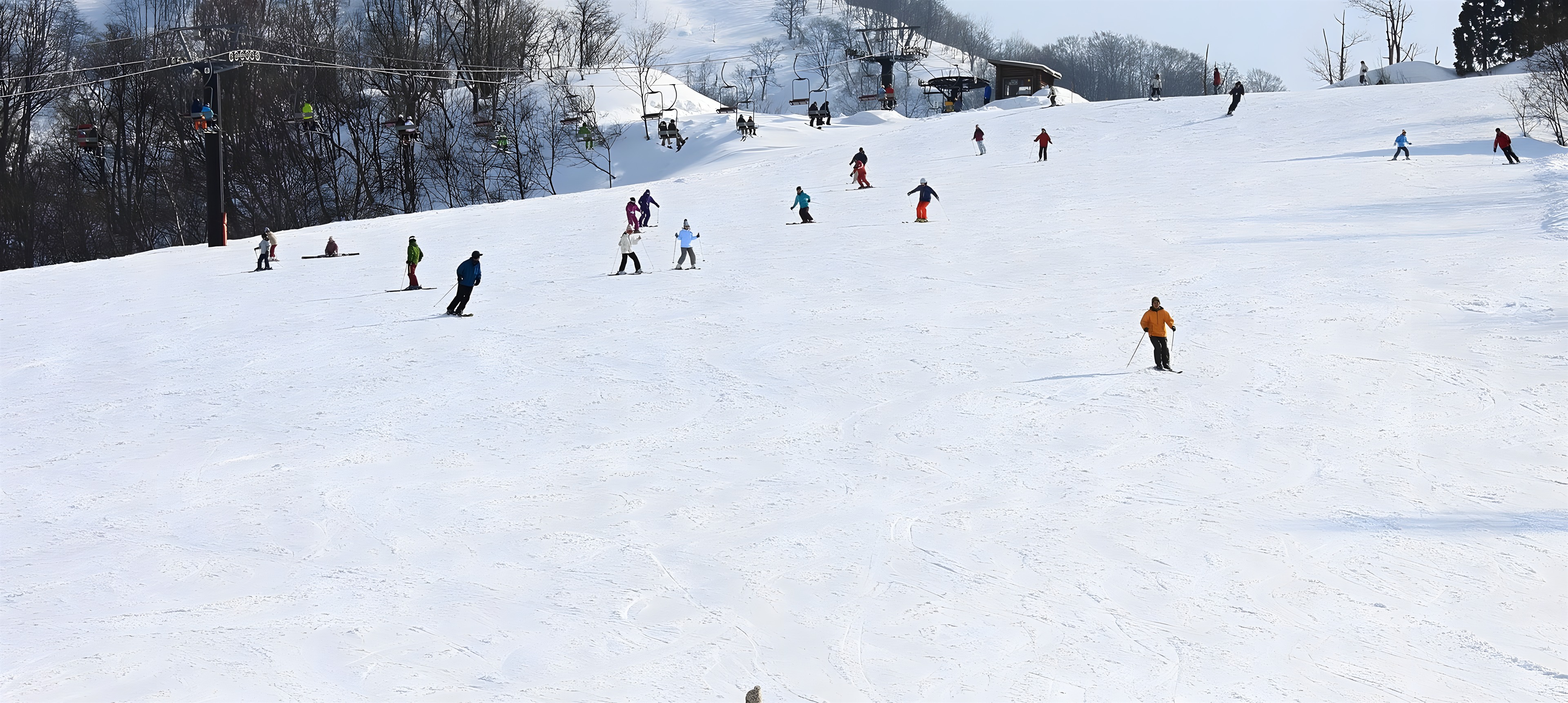 Skiers descending a wide, sunlit groomed piste beneath the chairlifts at Hakusan Ichirino.
