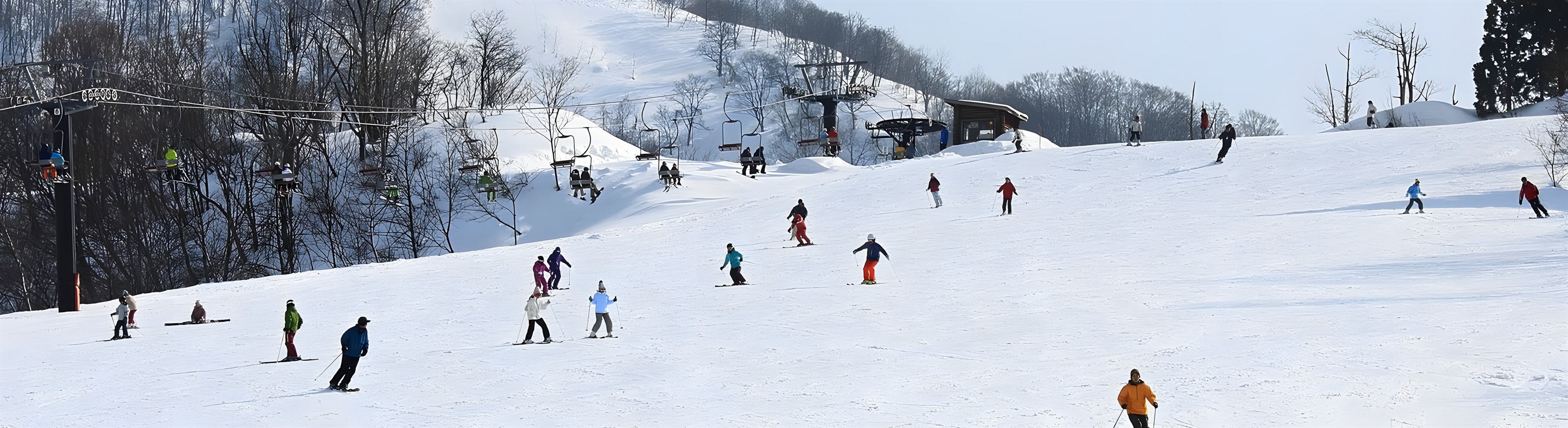 Skiers spread across the open slopes of Hakusan Ichirino beneath the chairlift lines.